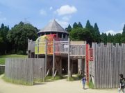 ҂₳̋TRTVCp[N̓eʐ^1