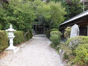 ���ڂ炳��̔m�ԋ��i�r�ؐ_�Ёj�̓��e�ʐ^3