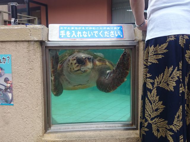 ����������邱�Ƃ��o���܂��B_���c�C��������