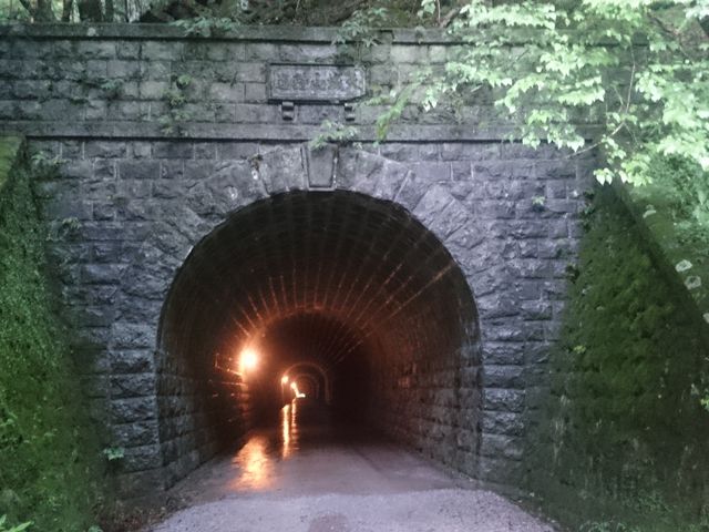 南側のトンネル入口です。_天城山隧道（通称：旧天城トンネル）