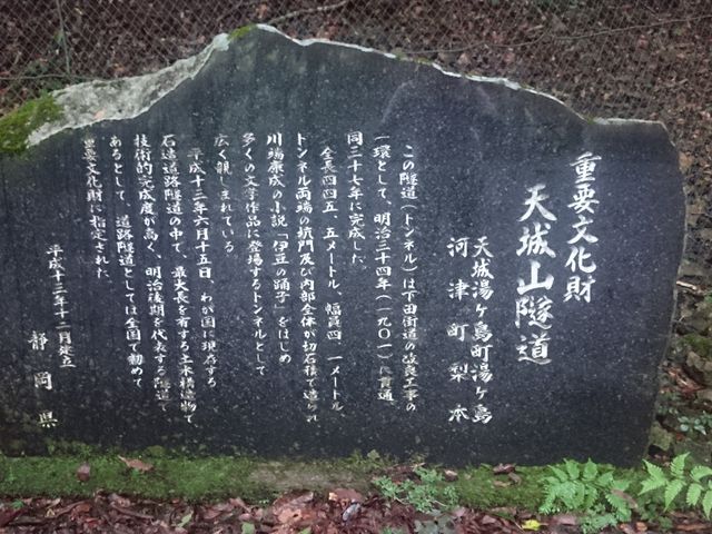 Δ肪܂B_VR詓iʏ́FVglj