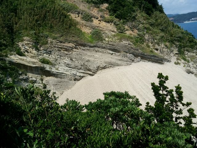 ���{�A�̓W�]�䂩��p�`���I
_�c���T���h�X�L�[��