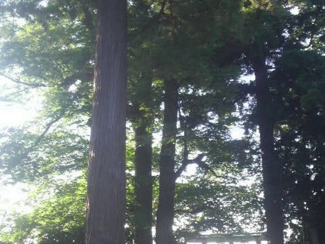 ��X���_�Ћ����̌�_��_�O�V�{��X���_��