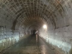 れおんさんの天城山隧道（通称：旧天城トンネル）の投稿写真3
