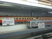 ꂨ񂳂̃gCM[Ƃ񂩂&Ώ̓eʐ^11