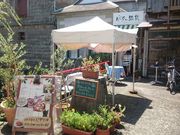 ꂨ񂳂̃pX^ƎG݁@y[W̓eʐ^1