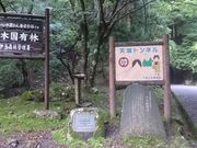 ꂨ񂳂̓VR詓 (Vgl)̓eʐ^4