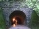 れおんさんの天城山隧道（通称：旧天城トンネル）の投稿写真4