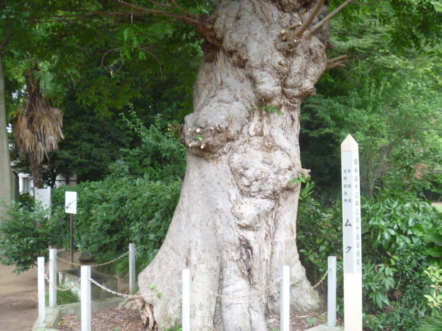 gV[̐ΌˏhV_Ђ̃N̓eʐ^1