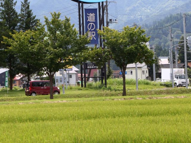 �R�V�q�J���̈�䂪�F�t�����߂�_���̉w �싛���u�Ⴀ����v