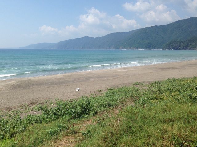 �������L������r�[�`�B_���ÊC������