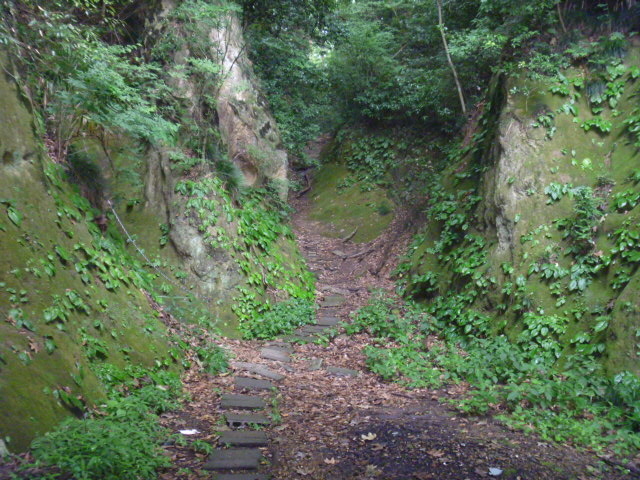 gV[̊⎺ω̑ٓ̓eʐ^1