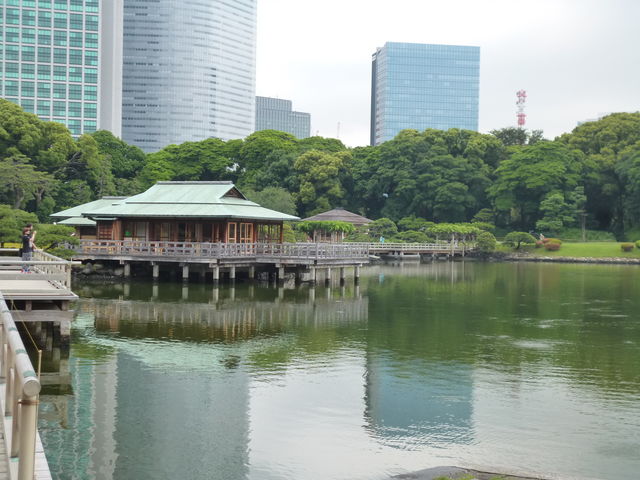 wނ鍂wrQۓIł_̌䒃il{뉀j