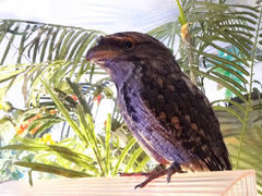 KPṼtNEJtF AE̐X HtXւ̓eʐ^2