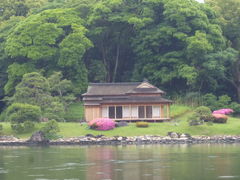 �g�����\����̏��̌䒃���i�l���{�����뉀�j�ւ̓��e�ʐ^1