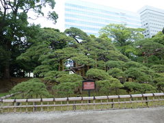 �g�����\����̎O�S�N�̏��i�l���{�����뉀�j�ւ̓��e�ʐ^1