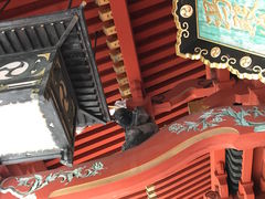 ZUNDAMさんの三神合祭殿の投稿写真3