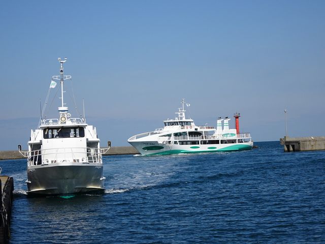 �A�N�A�G�f�B�Ƃ�񂾁[�Ȃ��_���������ϒ��D