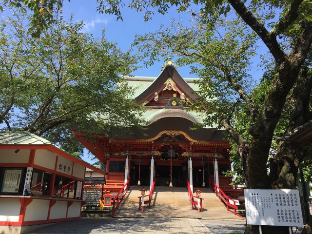 ���h�Ȃ������܂�_�g���R�z�{�ٓV���C��