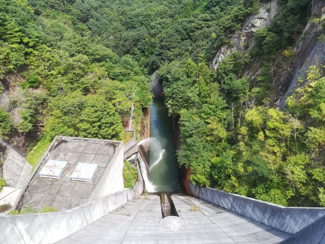 �����̗l�q_�ꔨ�_��