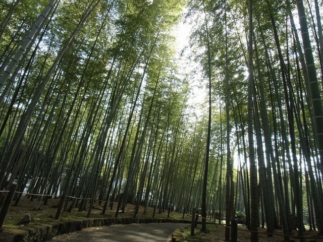 �|��_�ʕ{����