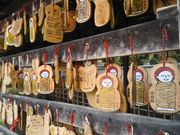 bq񂳂̓쑠@i΂nj̓eʐ^5