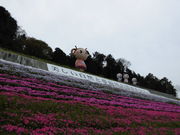 matsũ}TgЁ@܂ڂH[@Nق̓eʐ^4