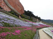 matsũ}TgЁ@܂ڂH[@Nق̓eʐ^6