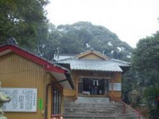 ANZ[JC̏Ɠ_Ђ̓eʐ^1