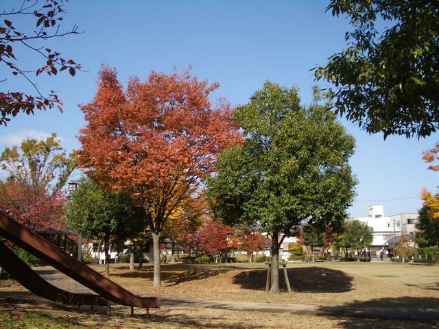 usyjفvƁu@{_ْ뉀vƂ̊Ԃ̌
_syj