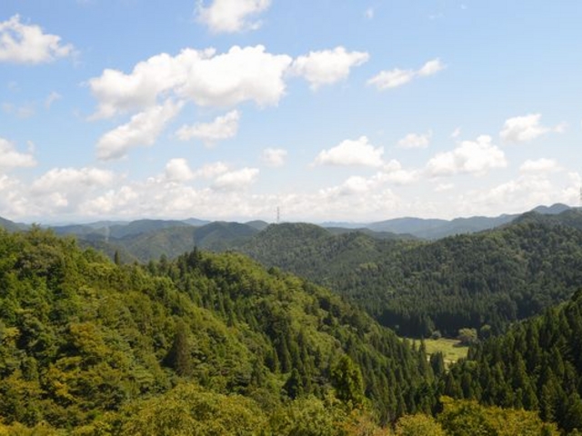 �����炵�͍ō��ł��B_�S�㔪�� ���R�ߓ���