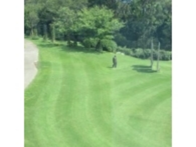 �뉀���i_�N���}�`�X�K�[�f��