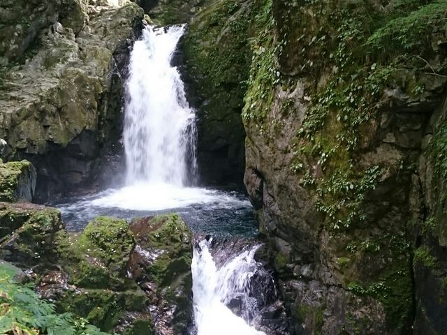 Oct߂܂ŁA30ʁB_񂾂Č