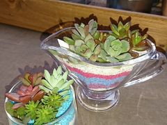 JRCANDLEHOUSE ChouChouւ̓eʐ^1