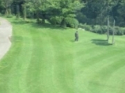 ߂̂₳̃N}`XK[f̓eʐ^2