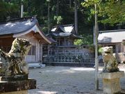 񂳂̐{_Ёi򕌌Ssj̓eʐ^1