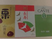 񂯂񂳂̃JXe̋⑕ rcX̓eʐ^1