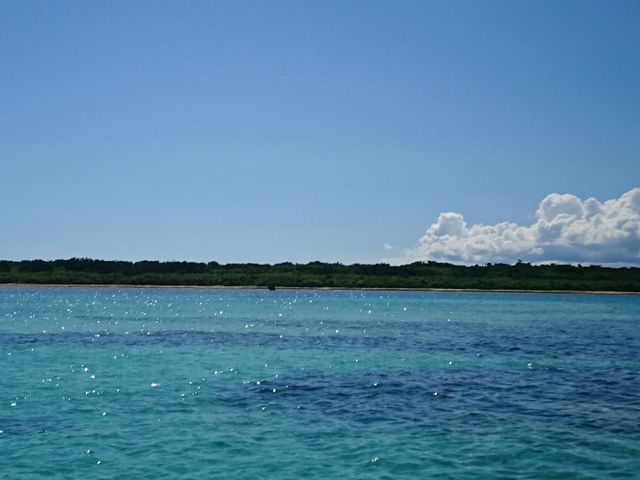 ���Ɍ�����͒|�x��_�Ί_��