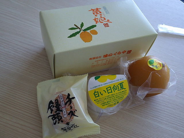 ���y�Y_���َq�̓����i�{�X�j