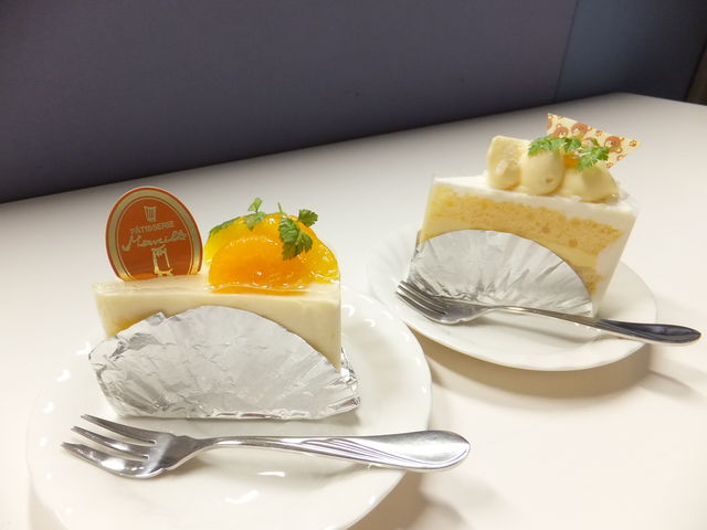 A`[YP[LiOjƃV[gP[Lij_mَqX@FC