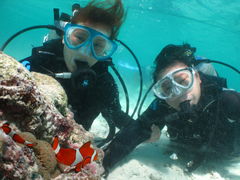 `̃X[_CuΊ_ւ̓eʐ^1