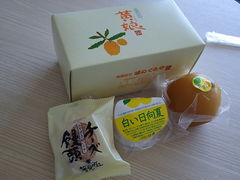 񂶂َ̂q̓i{Xjւ̓eʐ^1