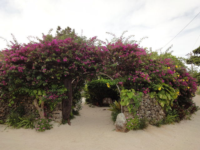 iς͓w͂̎ł_|x|xdv`IQۑn