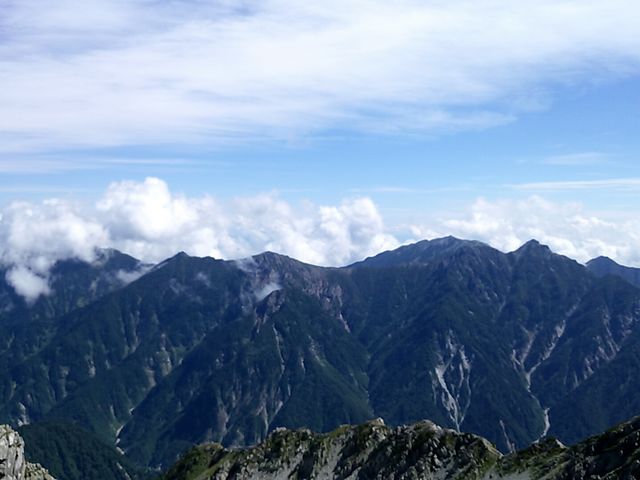 �R������̒���_�Y�R