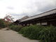 トロムソさんの元興寺の萩の投稿写真1