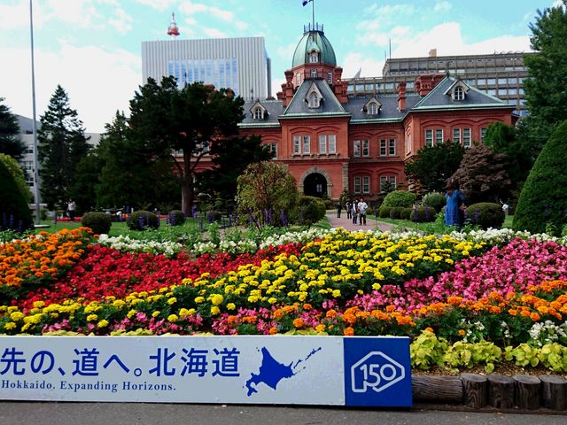 �Ԃ����ꂢ_�k�C�������{����(�Ԃ�񂪒���)