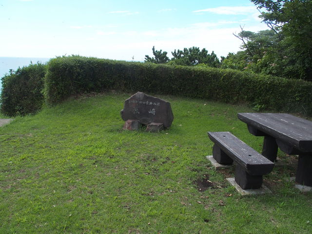 �����̗l�q_�r�����