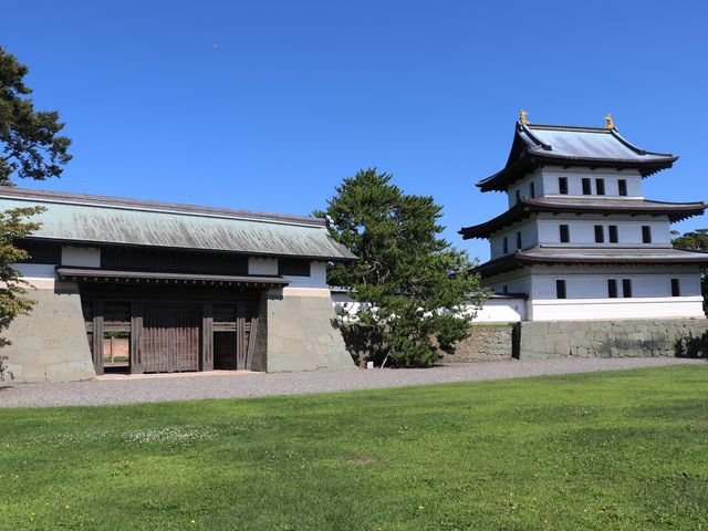 �{�ی��ƓV��_���O��