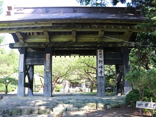 �O��_���ݎ�