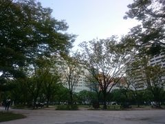 chamomile����̓V�_���������ւ̓��e�ʐ^1